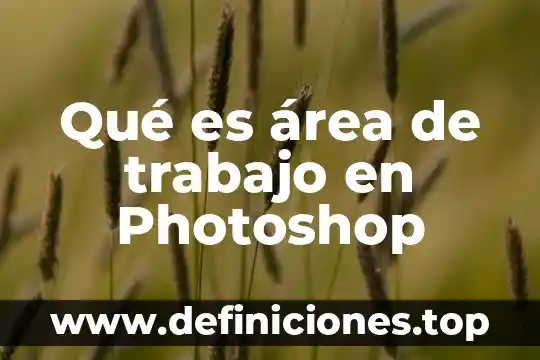 Qué es área de trabajo en Photoshop