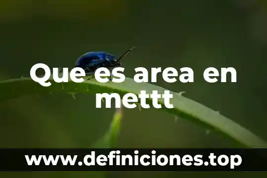 Que es una exprecion algebraica el area plataforma 4 Que es area en mettt