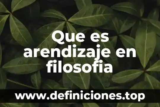 Que es arendizaje en filosofia