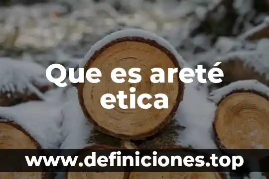 Que es un paradigma en la etica 4 Que es areté etica