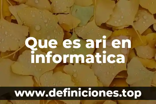 Que significa o que es un hub en informatica 3 Que es ari en informatica