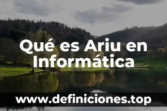 Qué es Ariu en Informática