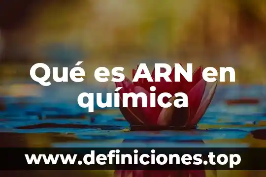 Que es el arn ejemplo 5 Qué es ARN en química
