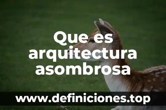 Que es material infeccioso 3 Que es arquitectura asombrosa