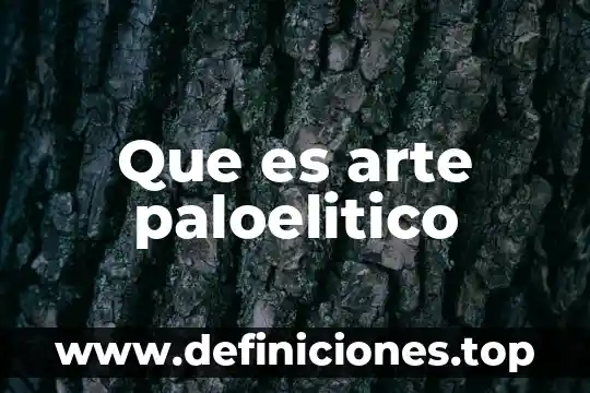 Que es el arte top 3 Que es arte paloelitico