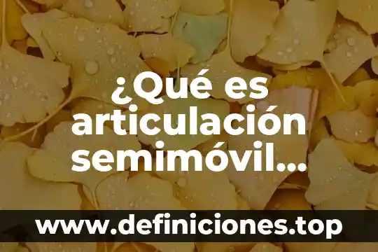 ¿Qué es articulación semimóvil ejemplos?