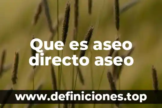Que es un surtido de aseo personal 4 Que es aseo directo aseo