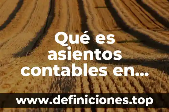 Que es inversion en evaluacion financiera 6 Qué es asientos contables en contabilidad financiera