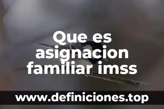 Que es parentesco familiar 6 Que es asignacion familiar imss