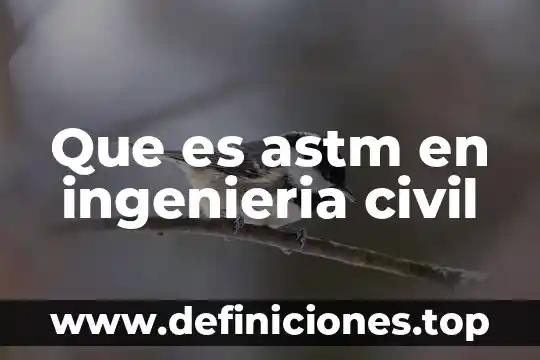 Que es el embargo precautorio civil 3 Que es astm en ingenieria civil