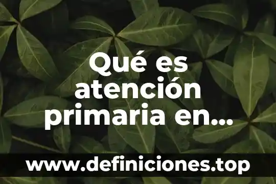 Que es la atencion de primer nivel 7 Qué es atención primaria en salud Chile