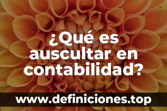 Que es exportacion en contabilidad 5 ¿Qué es auscultar en contabilidad?