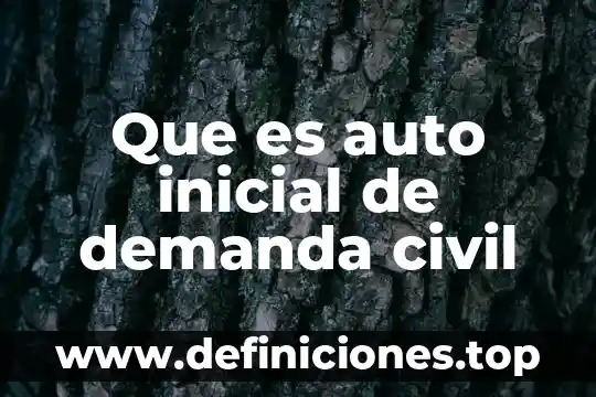 Que es auto inicial de demanda civil