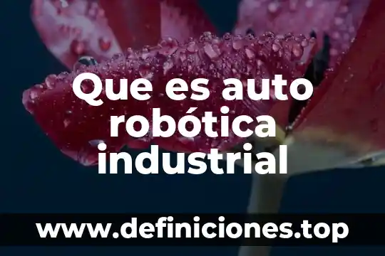 Que es mejor oruga o ruedas robotica 8 Que es auto robótica industrial
