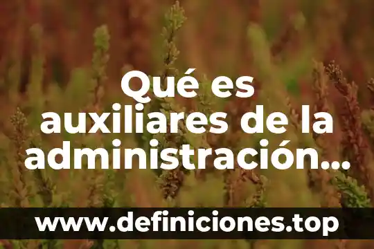 Qué es auxiliares de la administración de justicia concepto