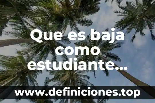 Que es un repositorio de informacion 5 Que es baja como estudiante universitario