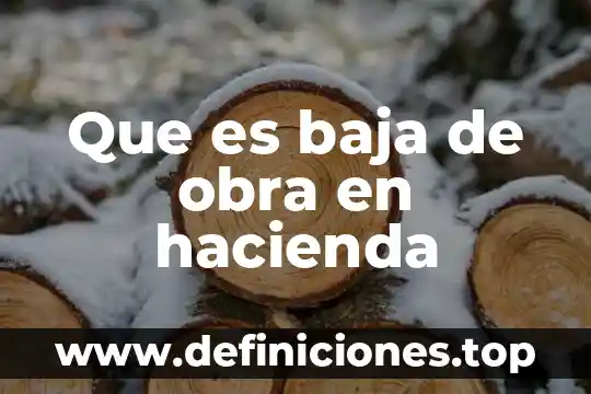Premio baja california a la calidad y competitividad que es 7 Que es baja de obra en hacienda