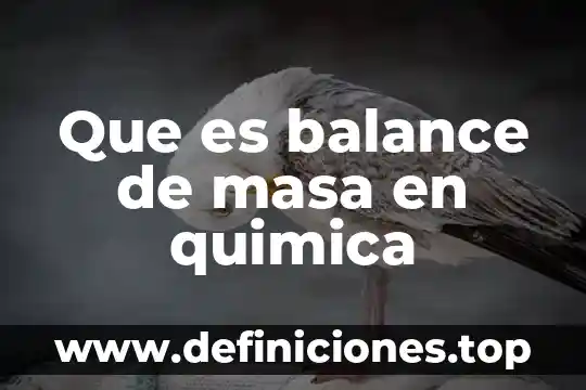 Que es un inferir en quimica 6 Que es balance de masa en quimica