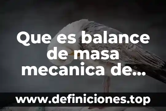 Que es un analisis de fluidos 8 Que es balance de masa mecanica de fluidos