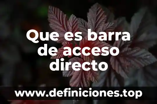 Que es dificultad en el acceso en programacion 5 Que es barra de acceso directo