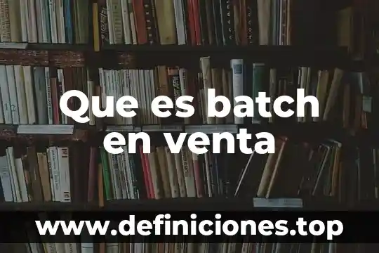 Qué es venta de mayoreo y menudeo 5 Que es batch en venta