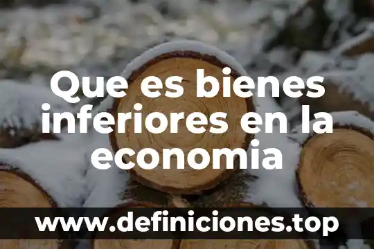 Qué es la terciarización de la economía en Colombia 7 Que es bienes inferiores en la economia