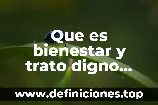 Que es un buen trato familiar 7 Que es bienestar y trato digno asia las demas personas