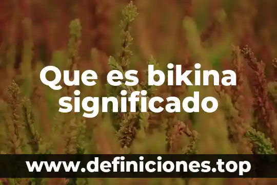 Que es bikina significado