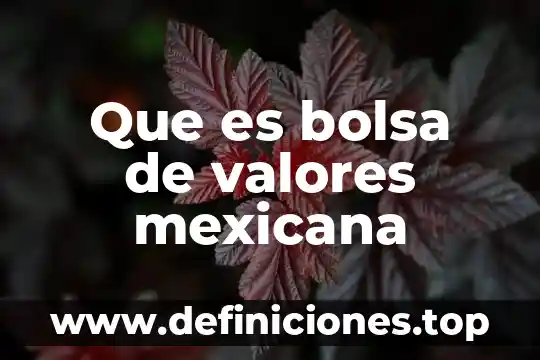 Que es el mercado de valores en mexico 6 Que es bolsa de valores mexicana