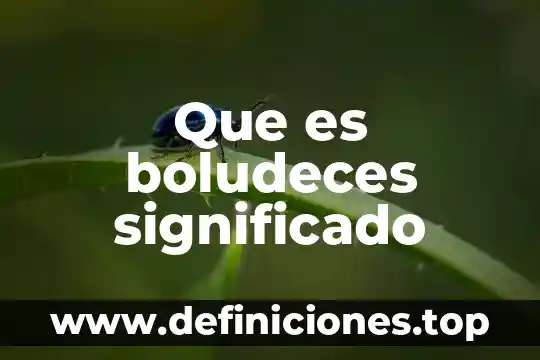 Que es boludeces significado