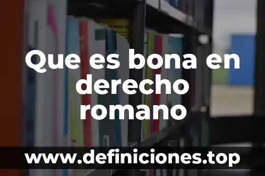 Que es litis en derecho romano 4 Que es bona en derecho romano