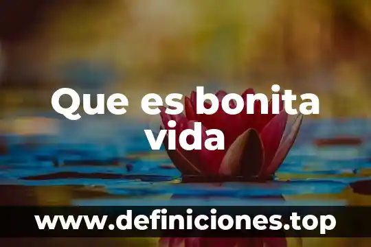Que es un entrenamiento de vida inicia 8 Que es bonita vida