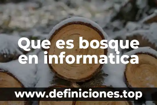Que es un generalista cgi 4 Que es bosque en informatica