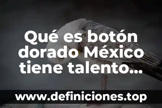 Que es un boton en adobe animate 3 Qué es botón dorado México tiene talento 2019