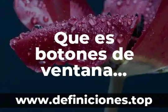 Que es word significado 5 Que es botones de ventana control en word