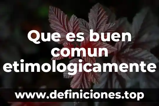 Que es buen comun etimologicamente