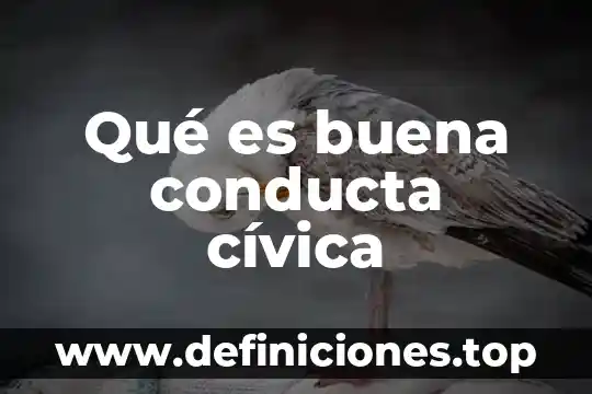 Qué es buena conducta cívica