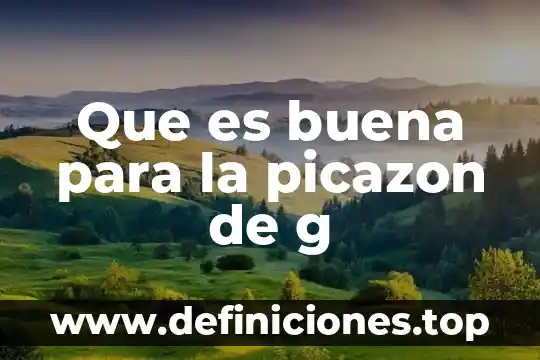 G yahoo web analytics que es 6 Que es buena para la picazon de g