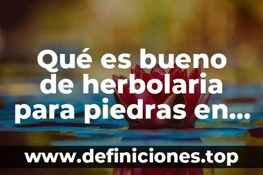 Qué es meridionales significado 3 Qué es bueno de herbolaria para piedras en el riñón