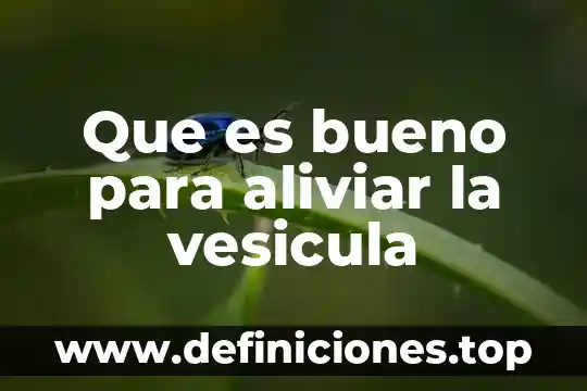 Que es una vesícula cubierta en un sistema endomembranoso 3 Que es bueno para aliviar la vesicula