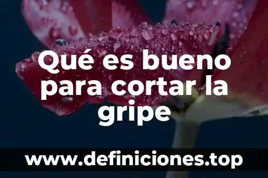 Qué es una cizalla manual para cortar lámina 3 Qué es bueno para cortar la gripe