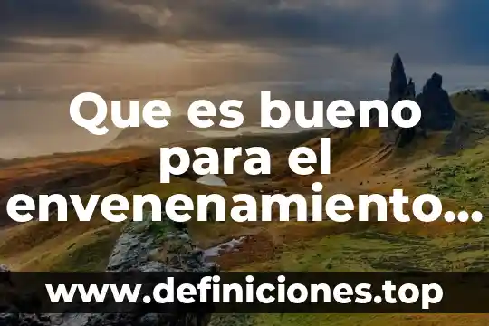 Que es bueno para el envenenamiento de perros