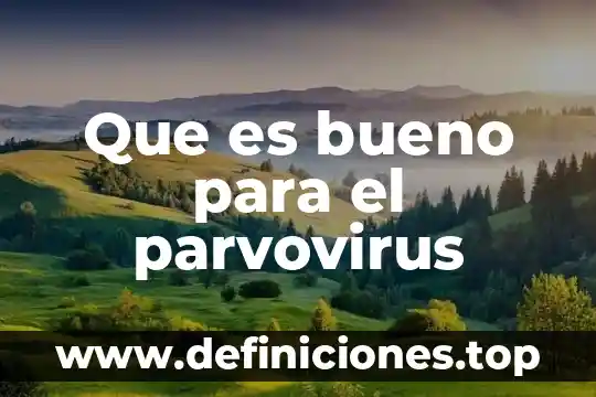 Que es bueno para el parvovirus