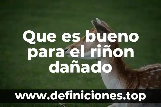 Que es lo bueno de la cultura 3 Que es bueno para el riñon dañado