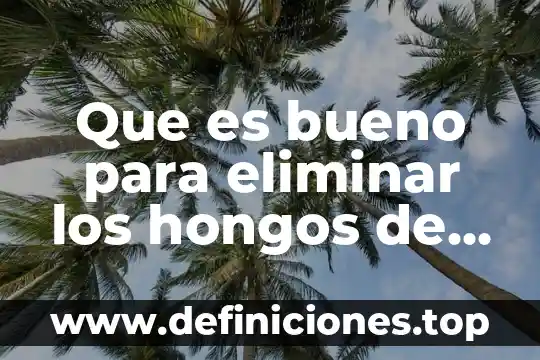 Concepto de generalizacion de riesgo que es eliminar 3 Que es bueno para eliminar los hongos de las uñas