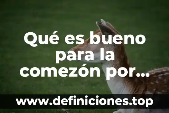 Qué es bueno para la comezón por intoxicación