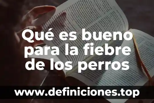 Qué es bueno para la fiebre de los perros