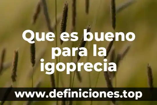 Para que es bueno el perejil con apio 4 Que es bueno para la igoprecia