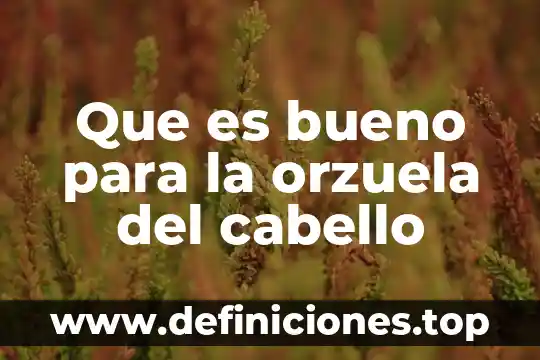 Que es bueno para la orzuela del cabello