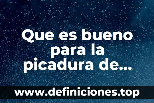 Que es un comando para bebes 3 Que es bueno para la picadura de zancudo en bebes